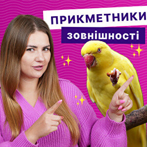 Описуємо зовнішність англійською