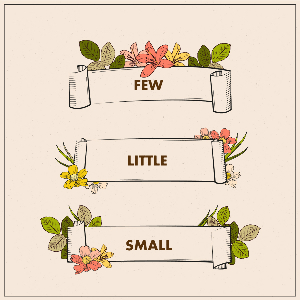 В чем разница между small, few и little?