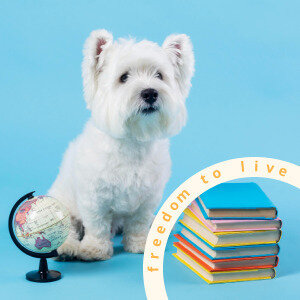 Прийменники в англійській мові